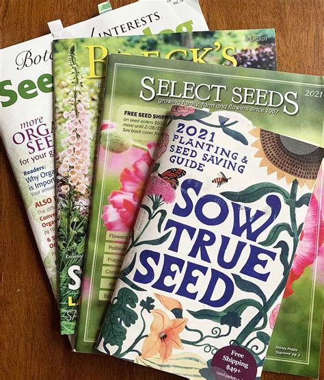 Seed Ordering Catalogs