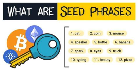 Seed Phrases: Your Master Key Backup