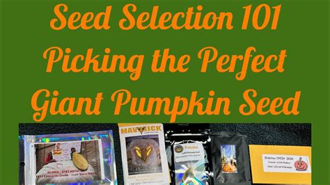 Seed Selection 101