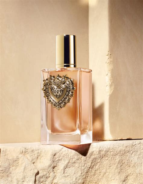 Seegasm Devotion Intimate Collection: 2026 Edition