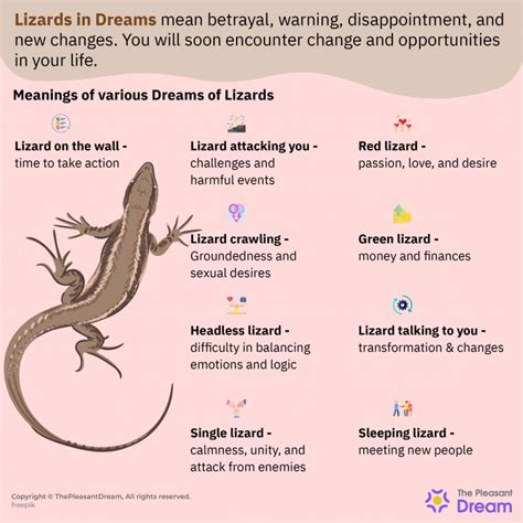 The Truth Behind Lizard Dreams: Discover the Surprising Impact on Your Future Success