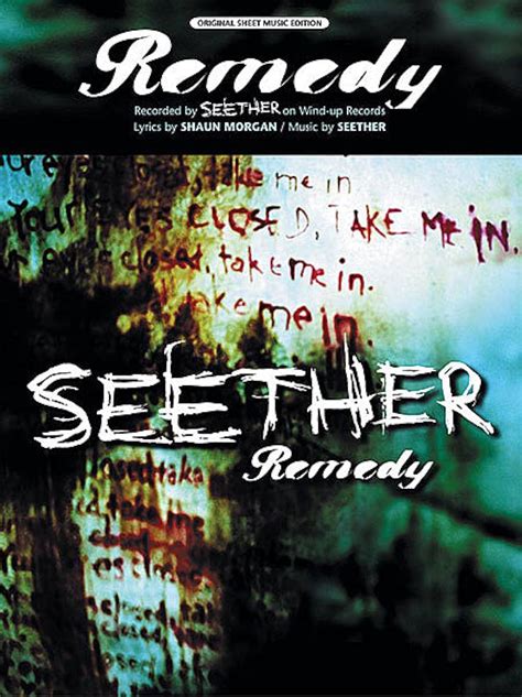 Seether Remedy