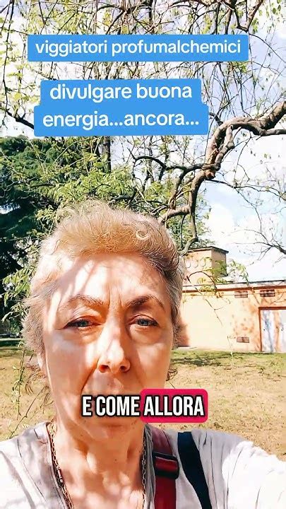 Spiegazione del commento di The Stranger "Segui sempre il tuo naso