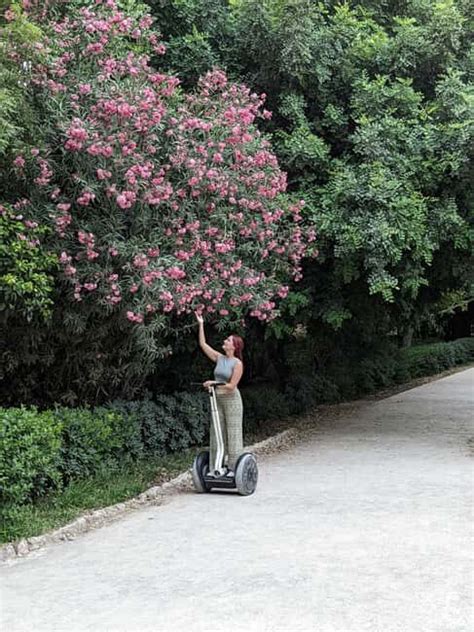 Segway Tour Verdict