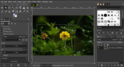 Select the Editing Tool