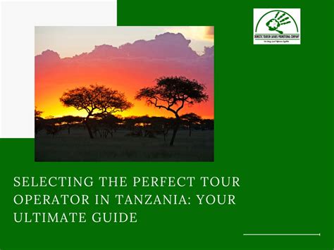 Selecting Perfect Tour