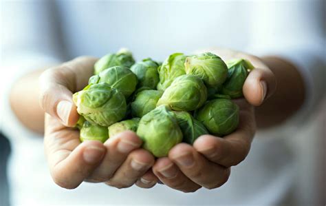 Selecting Brussels Sprouts