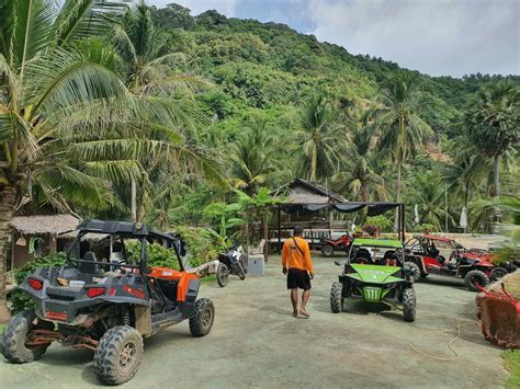 Selecting a Buggy Tour