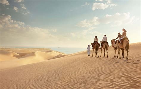 Selecting a Qatar Safari Tour