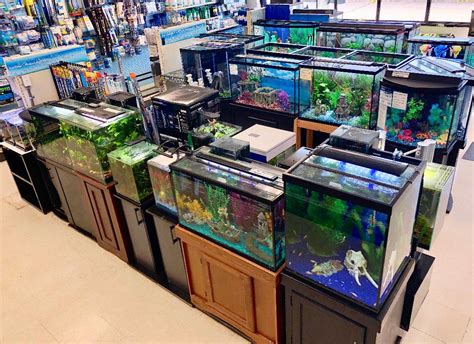 Selection of Fish and Supplies
