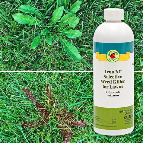 Selective Broadleaf Weed Killers