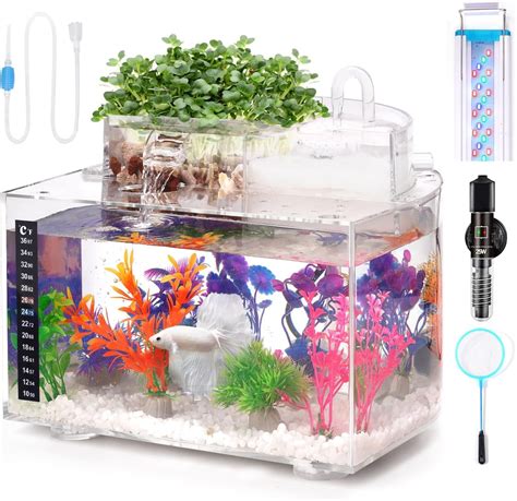 Self Cleaning Betta Tanks