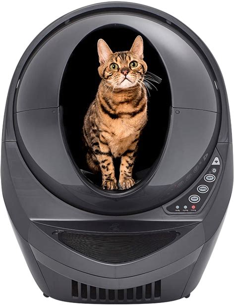 The Game-Changer for Busy & Caring Fur-Persons: Hassle-Free Self Cleaning Litter Box