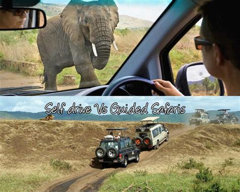 Self Drive Versus Guided Tour