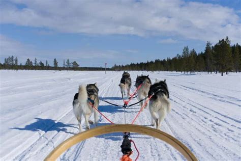 Self Driven Husky Tour