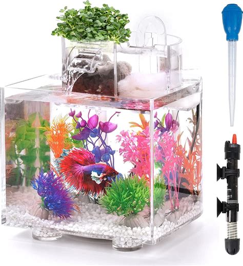 Self-Cleaning Betta Tank