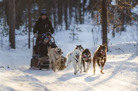 Self-Drive Husky Safari