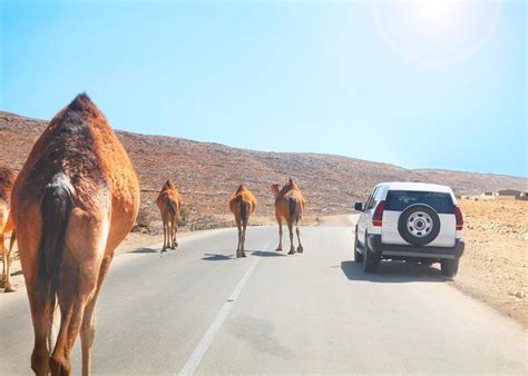 Self-Driving in Oman