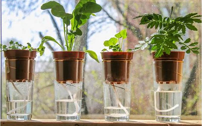 Self-Watering Container System