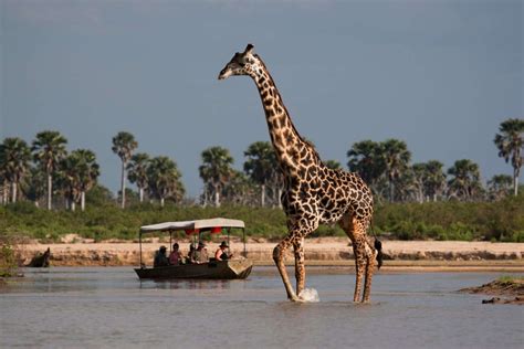 Selous Boat Safari