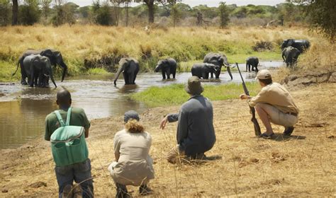 Selous Walking Safari