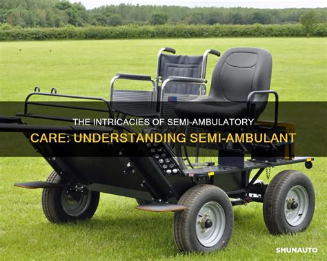 Semi Ambulatory Definition