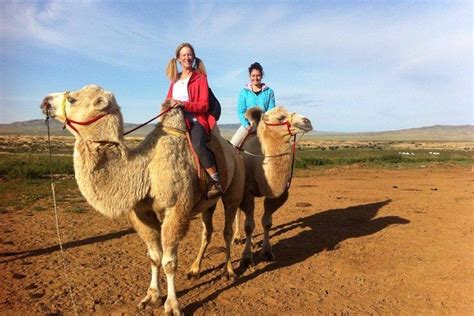 Semi Gobi Camel Ride