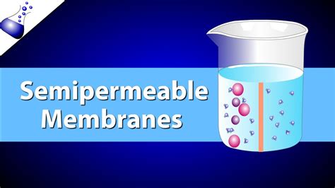 Semipermeabel: Kelebihan, Kekurangan, dan Penggunaannya