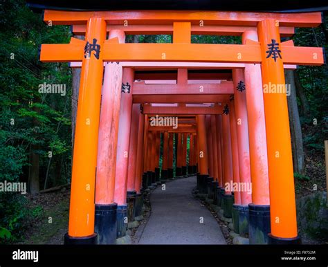 Senbon Torii