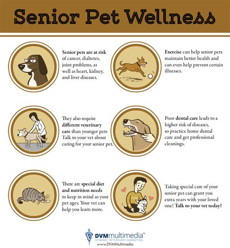 Senior Pet Care Veterinarian in Greenfield, WI