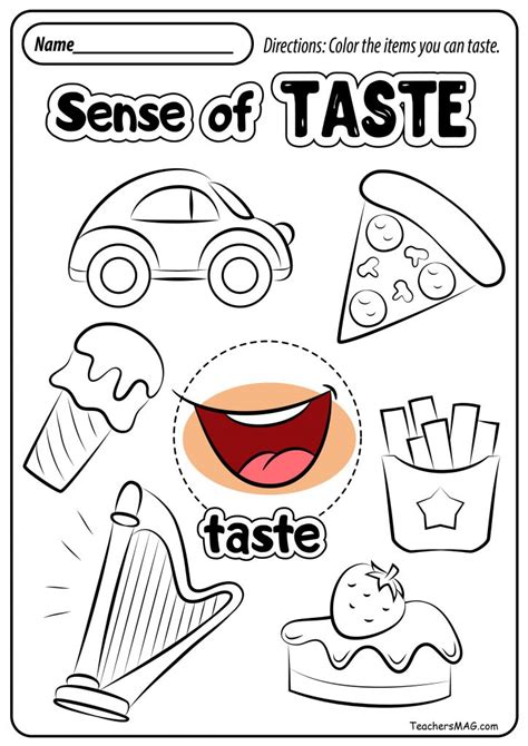 Sense Of Taste Worksheet