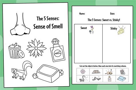 Sense Of Smell Worksheet