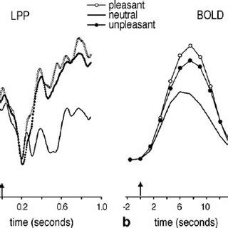 Sensitivity as a Source of Strength: Redefining Perception