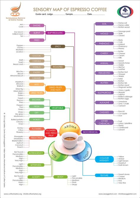 Sensory Evaluation Coffee