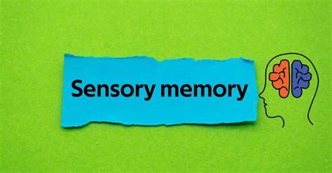 Sensory Memory