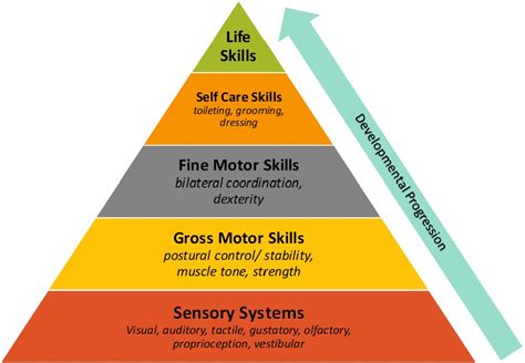 Sensory and Motor Skill Development