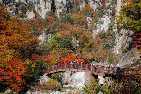 Seoul Mt Seorakcable