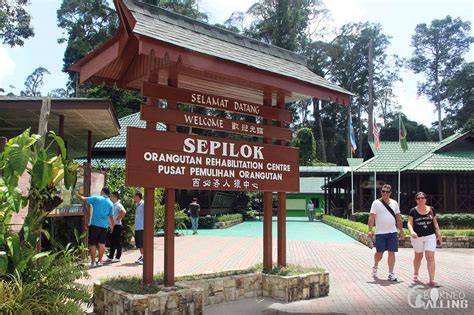Sepilok Transportation