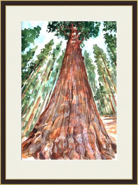 Sequoia Prints