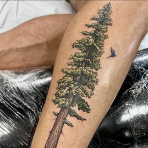Sequoia Tree Tattoo