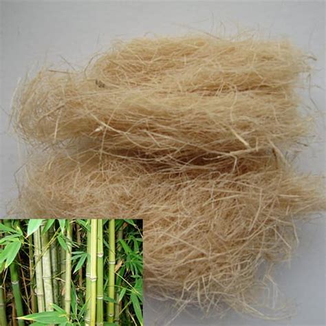 Serat pada Putu Bambu