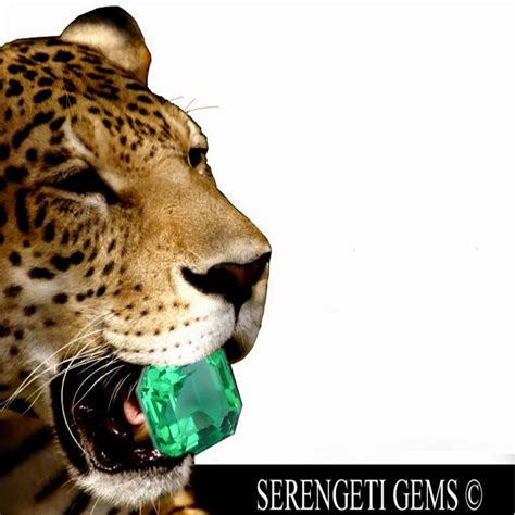 Serengeti Gems
