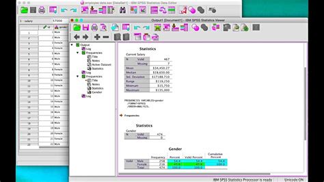 Serial Number Spss 17 Gratis
