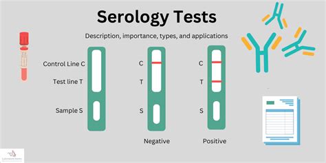 Serology Lab Test: What You Need to Know