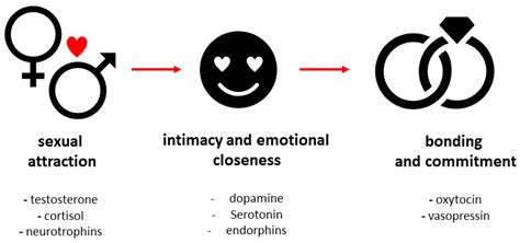 Serotonin Love