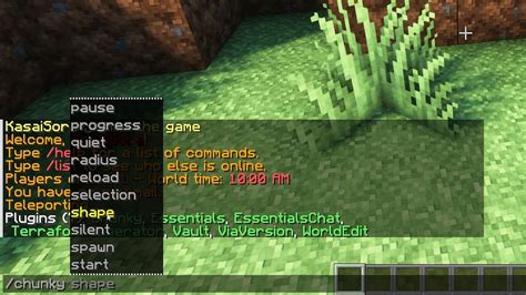 Server-Side Mods: Where Realms Gets Tricky