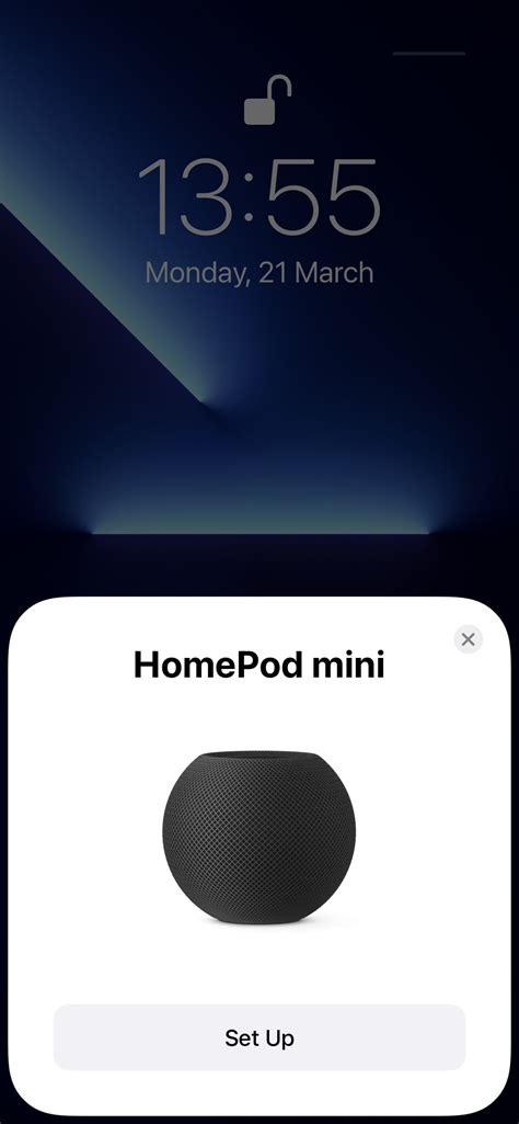 Set Up and Use HomePod mini or HomePod with Desired Control