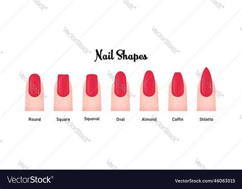 Set Vector Images Various Nail