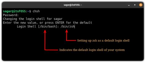 Set Zsh as the Default Shell