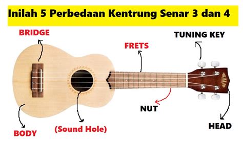 Setelan Ukulele Senar 3